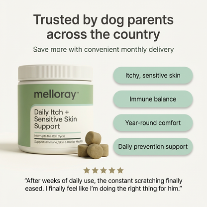 melloray™ Daily Itch + Sensitive Skin Support Chew