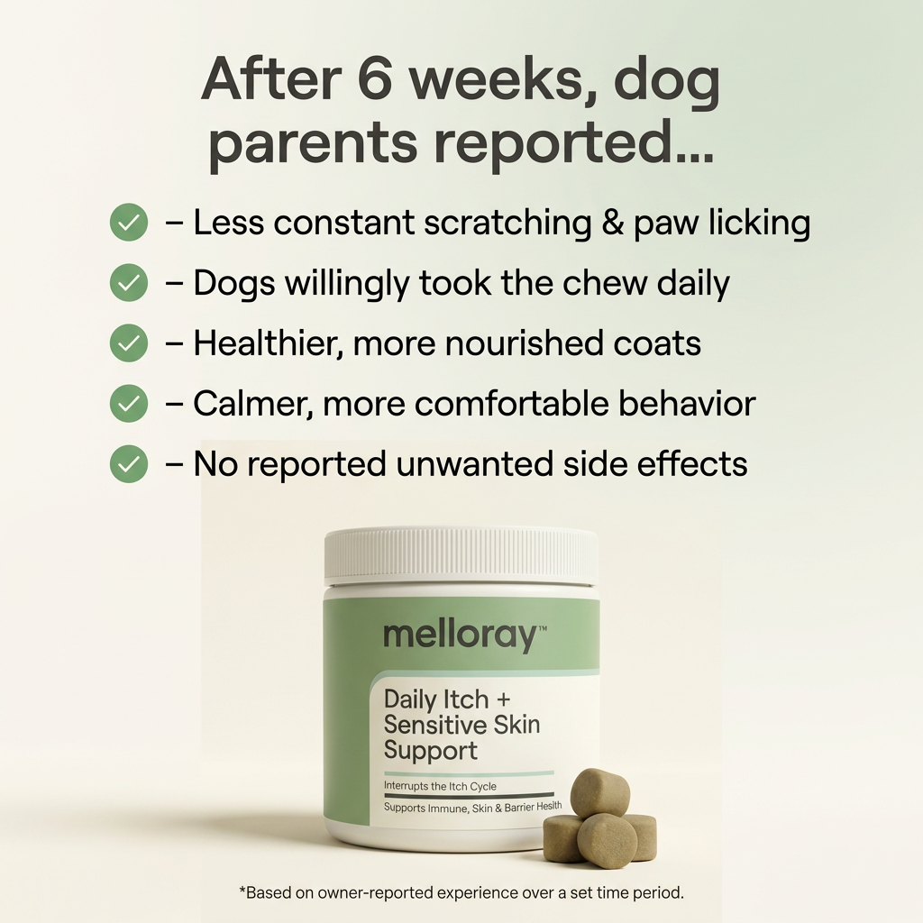 melloray™ Daily Itch + Sensitive Skin Support Chew