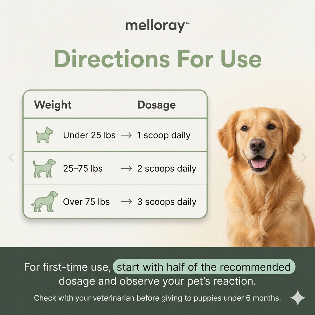 How To Effectively Combat Bad Dog Breath WITHOUT Brushing Battles
