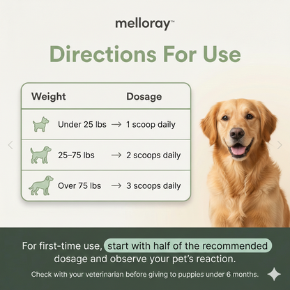 How To Effectively Combat Bad Dog Breath WITHOUT Brushing Battles